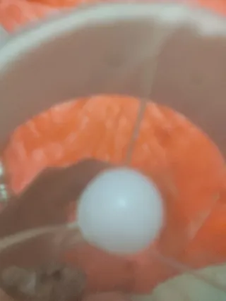 Dos lámparas preciosas