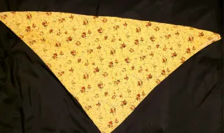 Traje Regional Saragüell Infantil