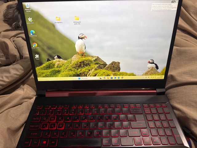 Portátil Gaming Acer Nitro 5