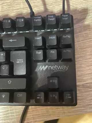 Teclado Gaming Mecánico Netway Negro