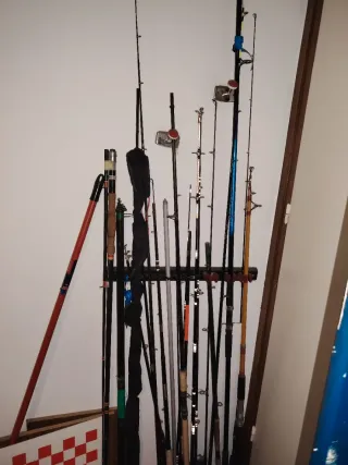 Lote de pesca: cañas, carretes y más