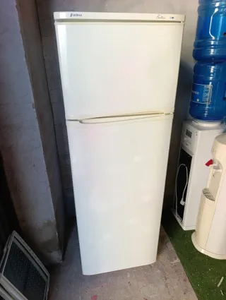 Nevera Edesa 160/55 cm