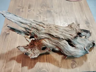 Tronco legno per terrari e acquari