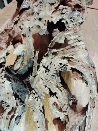 Tronco legno per terrari e acquari