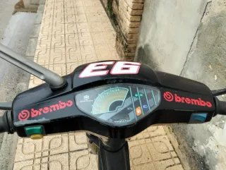 Vispino Negra y Amarilla