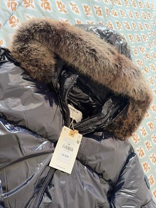 Chaqueta Brownie Azul Brillante con Capucha Nueva