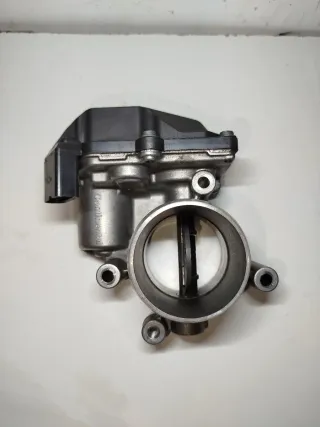 Cuerpo de mariposa vw