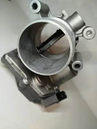 Cuerpo de mariposa vw