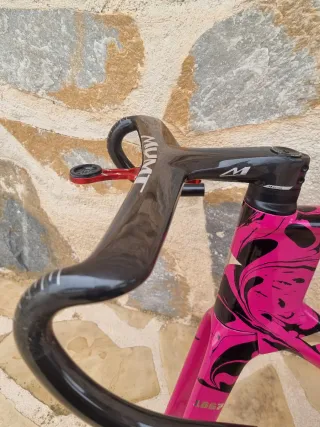 Cuadro Pardus Spark Evo Edición Limitada