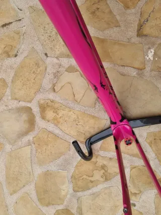 Cuadro Pardus Spark Evo Edición Limitada