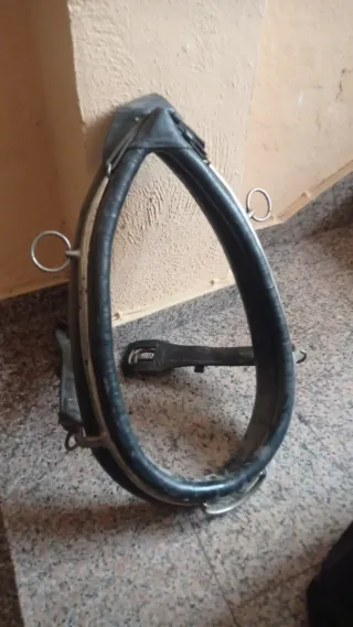 Collarón Percherón