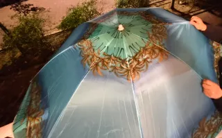 2 Sillas de Playa Plegables y Parasol