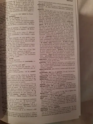 Diccionario De La Lengua Espanola