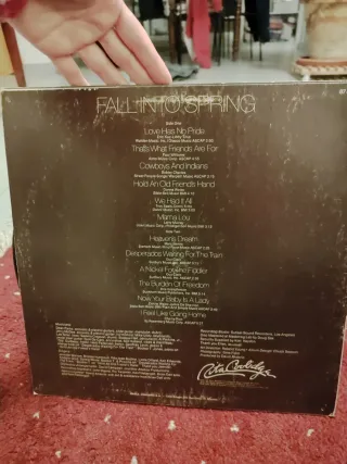 Rita Coolidge - Fall Into Spring Vinilo LP