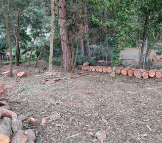 Servicio de corte de hierba y limpieza de terrenos