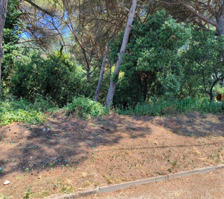 Servicio de corte de hierba y limpieza de terrenos