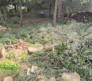 Servicio de corte de hierba y limpieza de terrenos