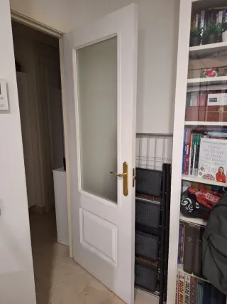 Puerta interior con cristal
