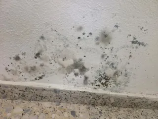 Servicios de pintura y humedades