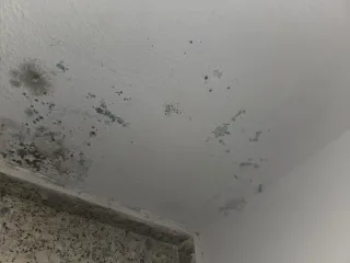 Servicios de pintura y humedades