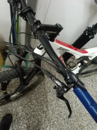 Bicicleta Montaña WRC Thunder Carbono 2019