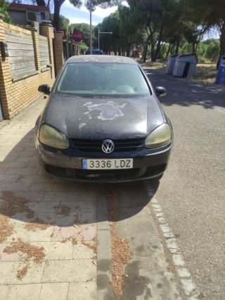 Volkswagen Golf v 2006 1900tdi