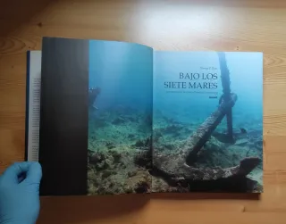 Bajo los siete mares (Spanish Edition)