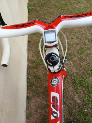 Bicicleta Carretera Focus Cayo Evo T.S