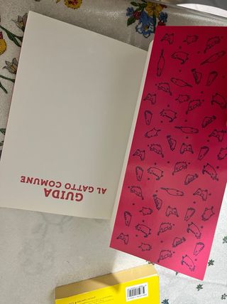 Guida al gatto comune - Rita Mabel Schiavo. Nuovo