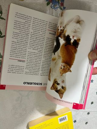 Guida al gatto comune - Rita Mabel Schiavo. Nuovo