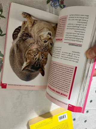 Guida al gatto comune - Rita Mabel Schiavo. Nuovo
