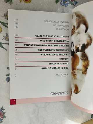 Guida al gatto comune - Rita Mabel Schiavo. Nuovo