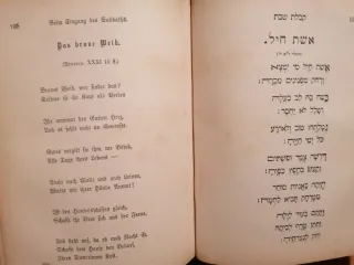 Biblias Hebreas Pentateuco Varias, 3 - 100€ cada.