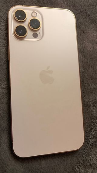 iPhone 12 Pro Max Gris/Plata