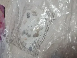 Fuente de Interior Jardín Zen, Fuente Cascada