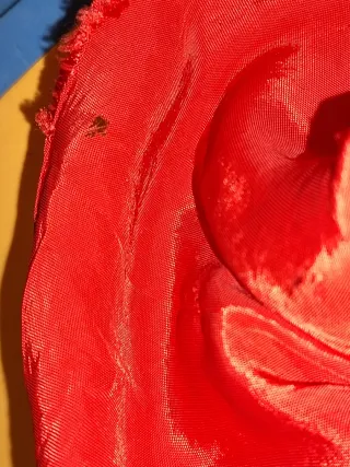 Nancy Famosa conjunto Fantasia