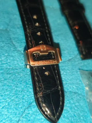 Correa Zenith Cocodrilo Negra + Hebilla Desplegabl