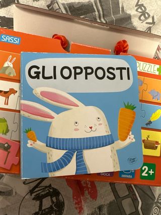 Valigetta gli opposti con libro e puzzle