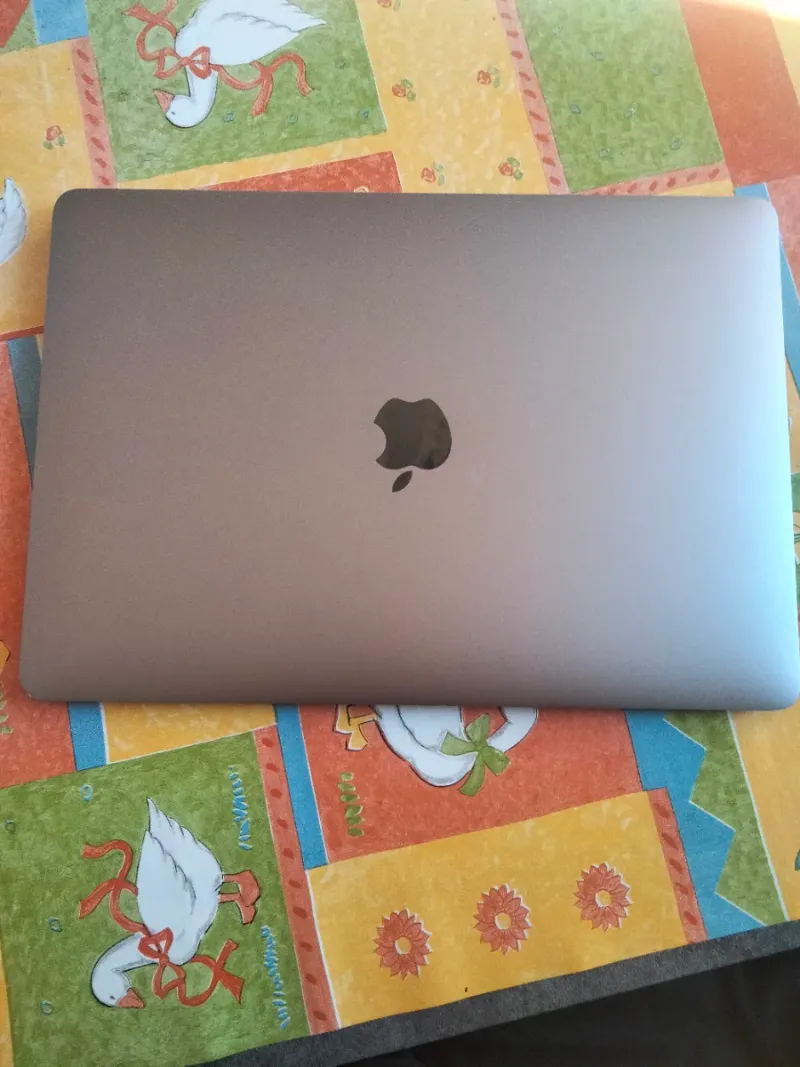 MacBook Air 13,3 2020 Apple