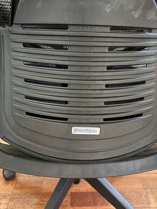 Sedia da ufficio Flexispot