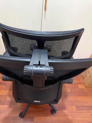 Sedia da ufficio Flexispot