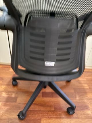 Sedia da ufficio Flexispot