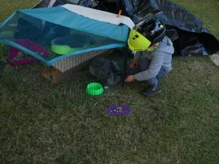 Jaula exterior para animales