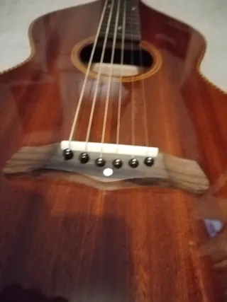 Weissenborn Waikaloa Elec.