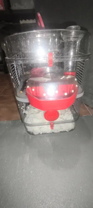 Jaula Hámster 2 Alturas