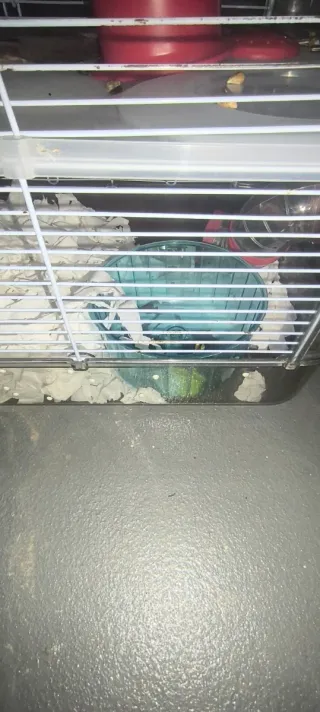 Jaula Hámster 2 Alturas