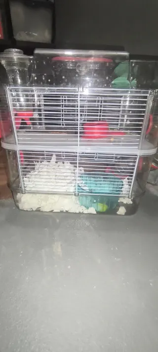 Jaula Hámster 2 Alturas