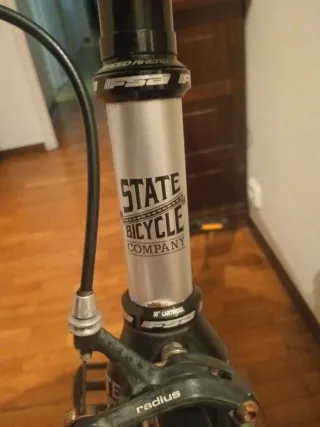 Bicicleta Fixie/Single Speed