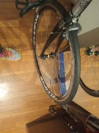 Bicicleta Fixie/Single Speed