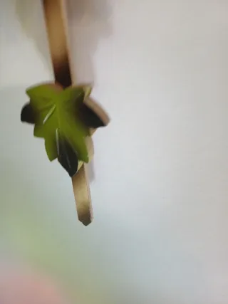 Orologio a cucù con uccellino e foglie